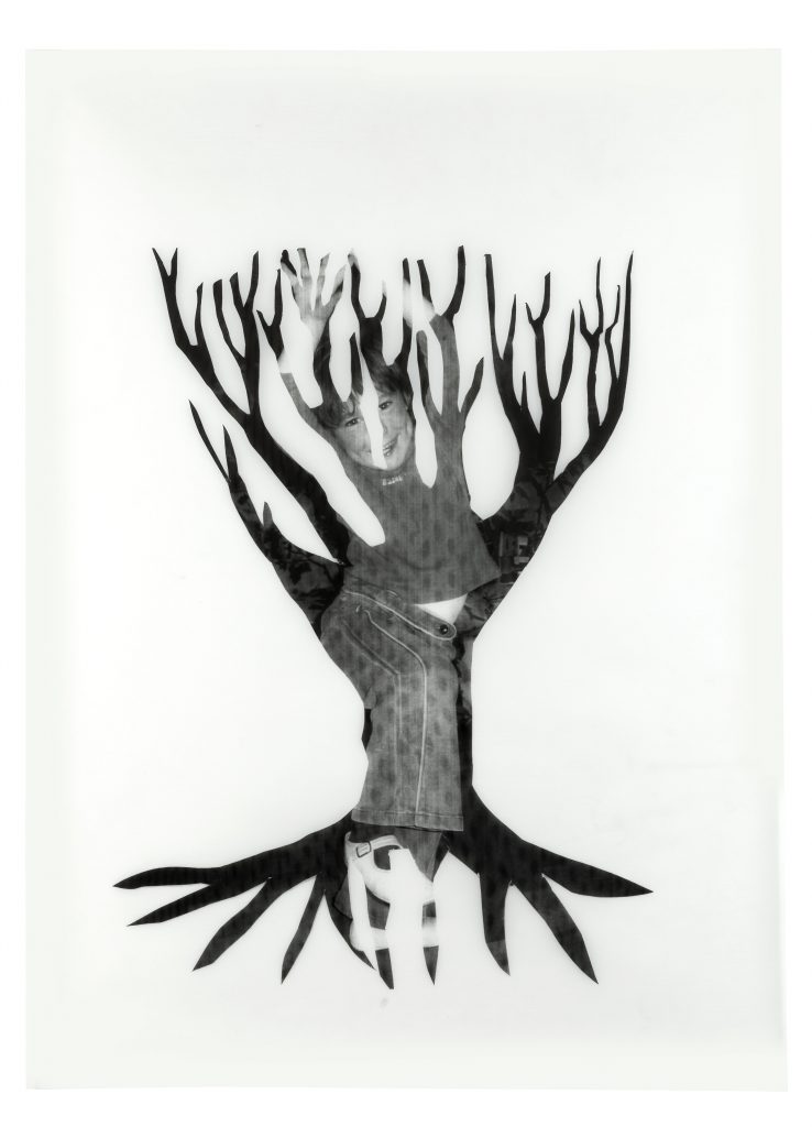 Nato da ruscello, 2005 (serie, 4 opere) Stampa su carta da lucido 114 x 85 cm
